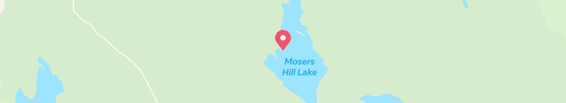 Map Of Bakeapple Bog, Canada, Bogs