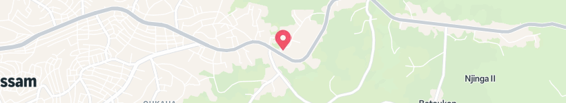 Map Of Laborex Bafoussam, Bafoussam, Cameroon, Health