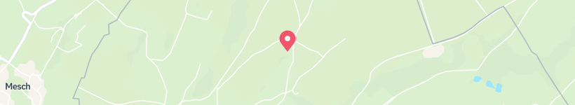 Map Of Hoogbos, Belgium, Forest