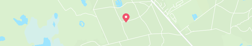 Mappa Di Dieverveld, Olanda, Foresta