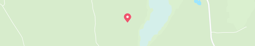 Map Of Pitkäsalo, Finland, Forest